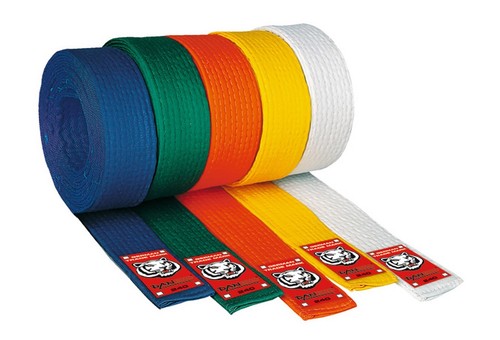 Budo gürtel junior dan - junior, v.