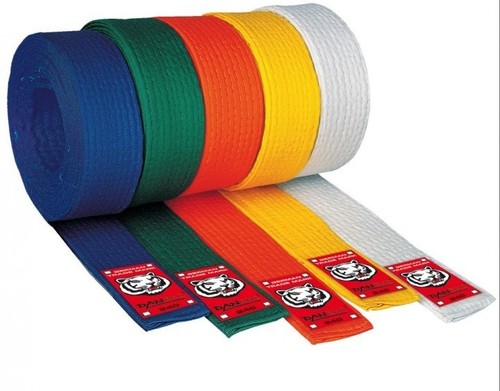 Budo gürtel junior - budo, rho